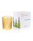 Francis kurkdjian bougie mon beau sapin